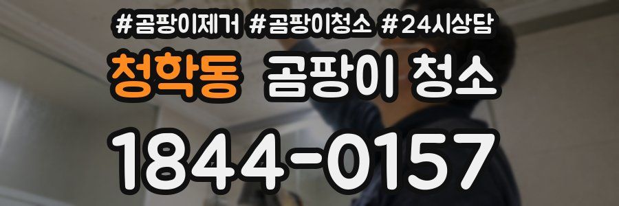 청학동 곰팡이 청소