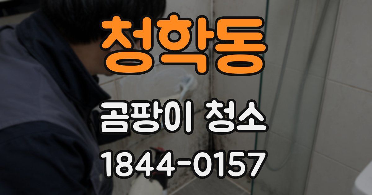 청학동 곰팡이 청소