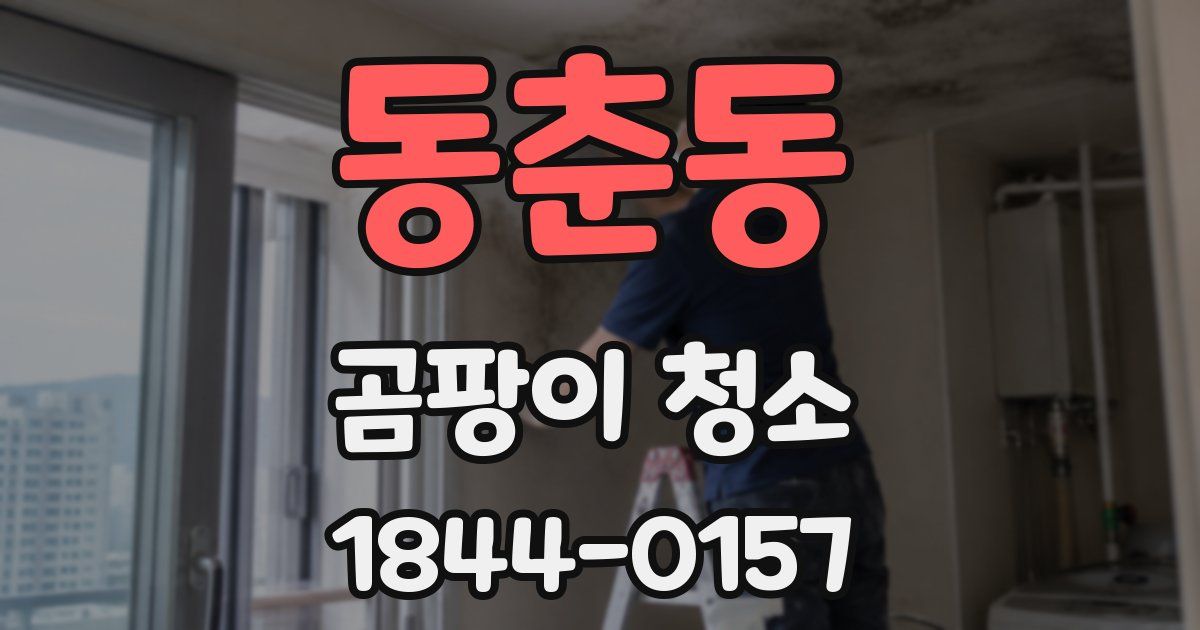 동춘동 곰팡이 청소