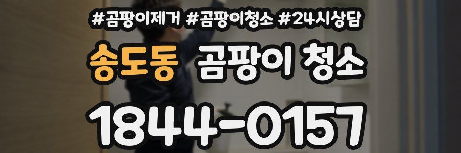 송도동 곰팡이 청소