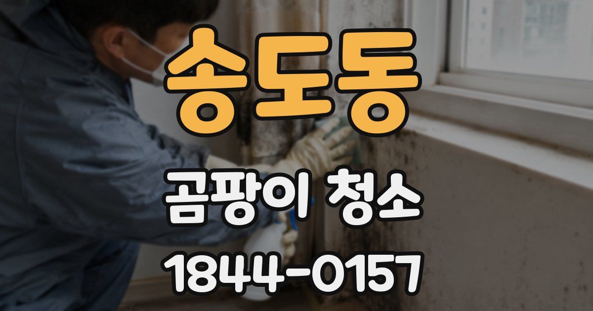 송도동 곰팡이 청소