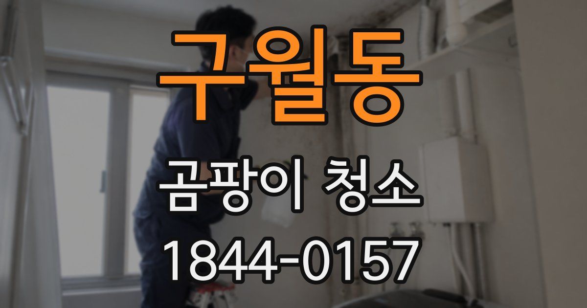 구월동 곰팡이 청소