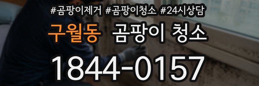 구월동 곰팡이 청소