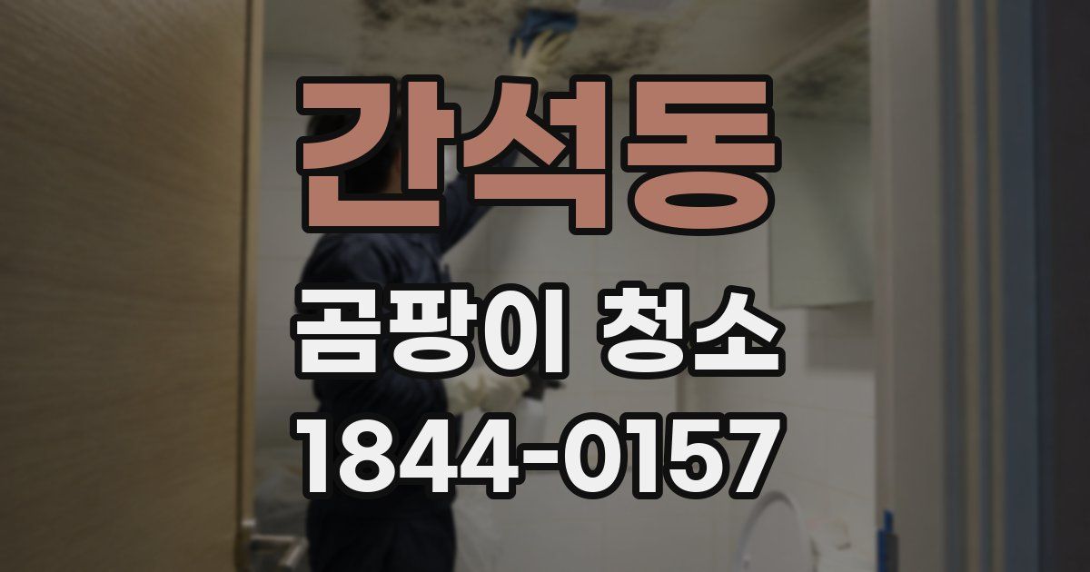 간석동 곰팡이 청소
