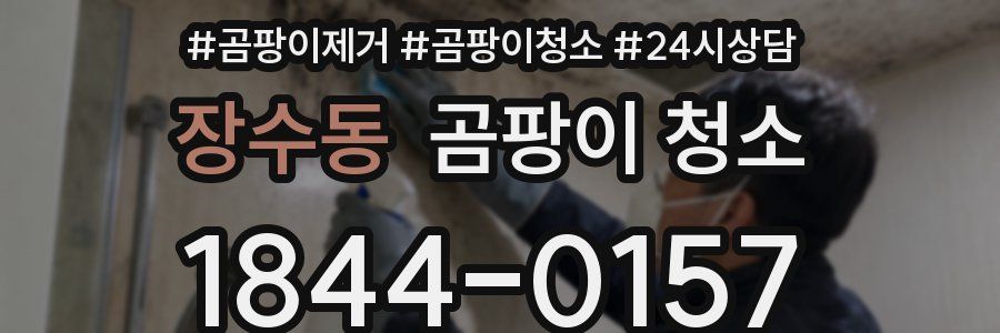 장수동 곰팡이 청소