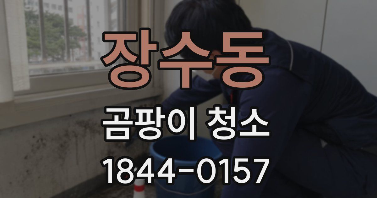 장수동 곰팡이 청소