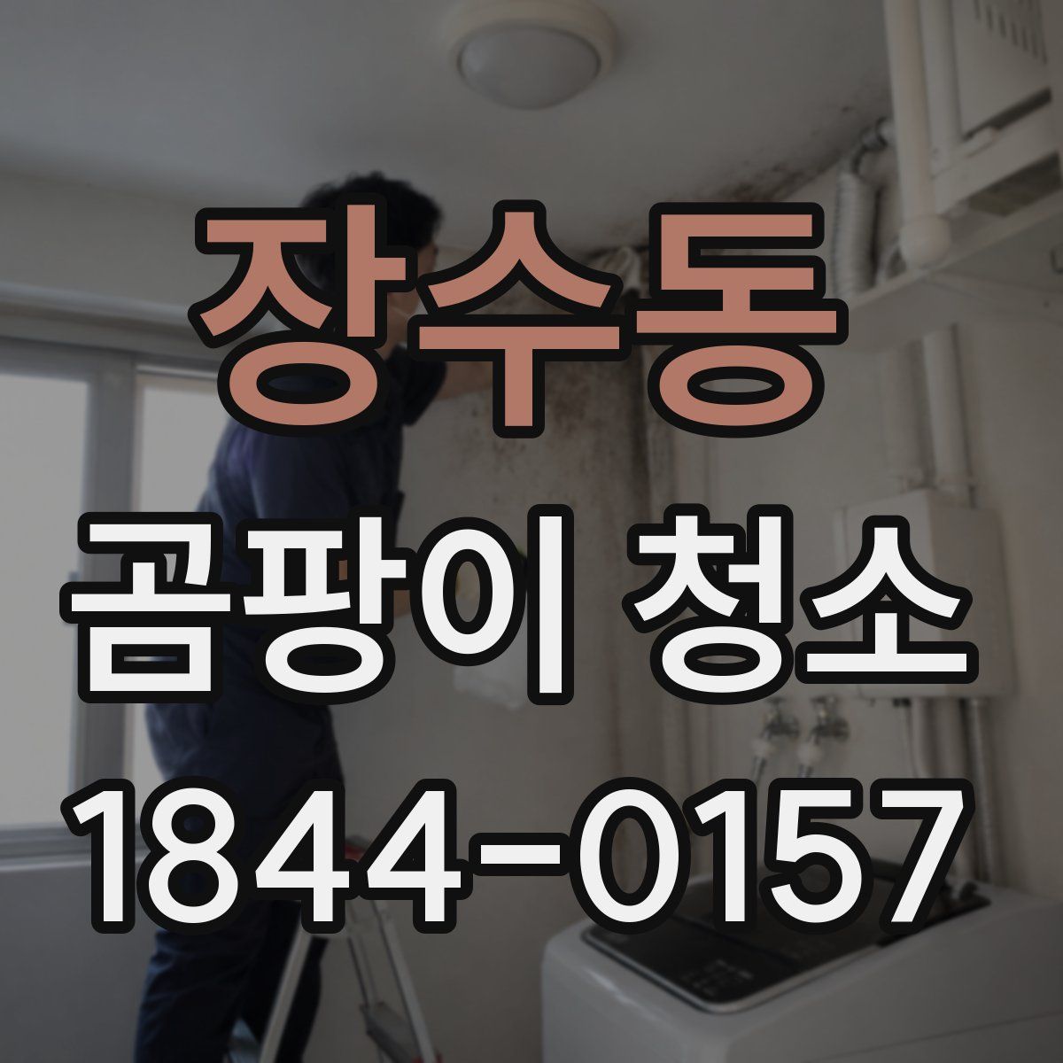 장수동 곰팡이 청소