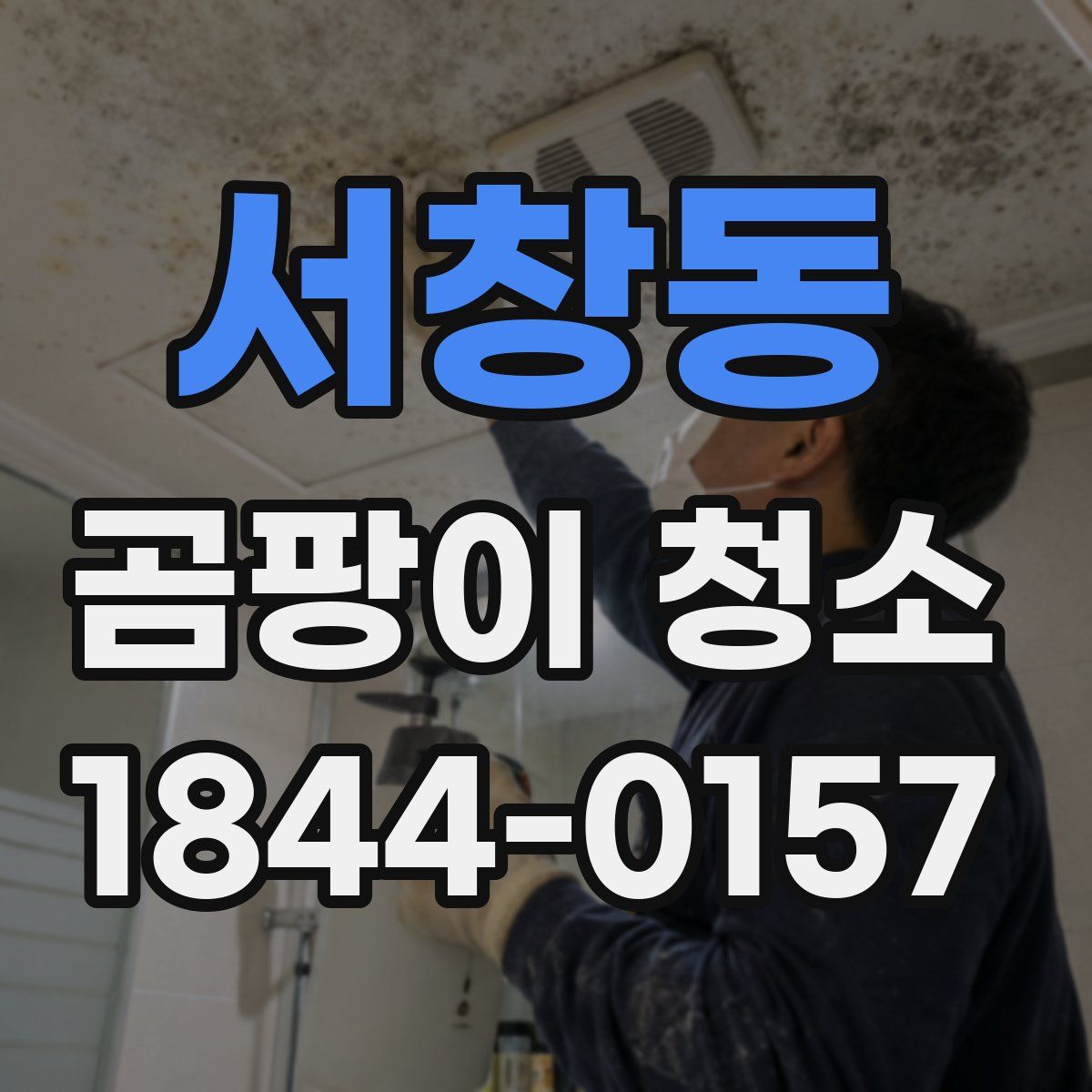 서창동 곰팡이 청소