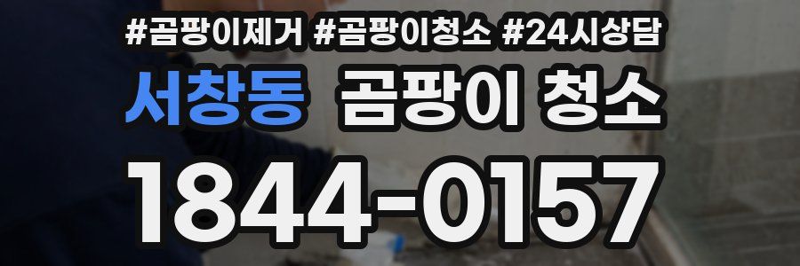 서창동 곰팡이 청소