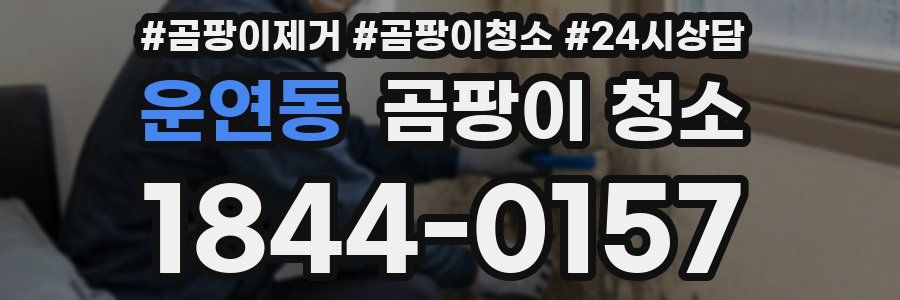 운연동 곰팡이 청소