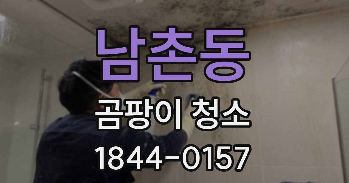 남촌동 곰팡이 청소