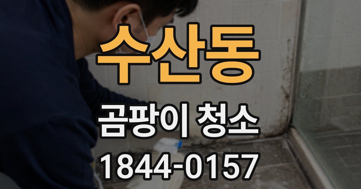 수산동 곰팡이 청소