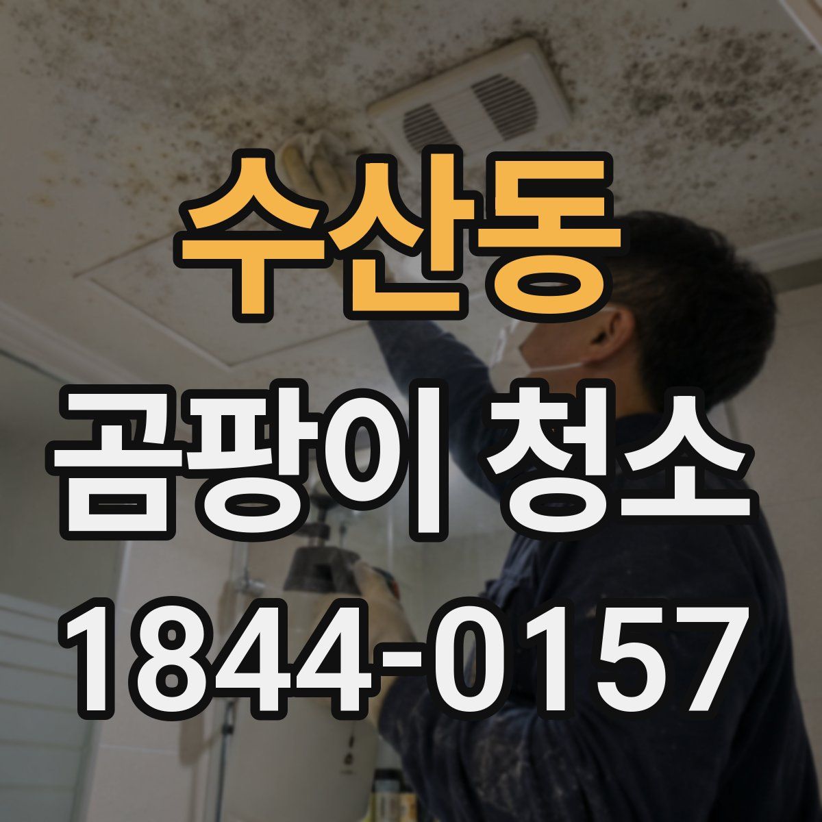 수산동 곰팡이 청소