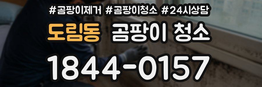 도림동 곰팡이 청소