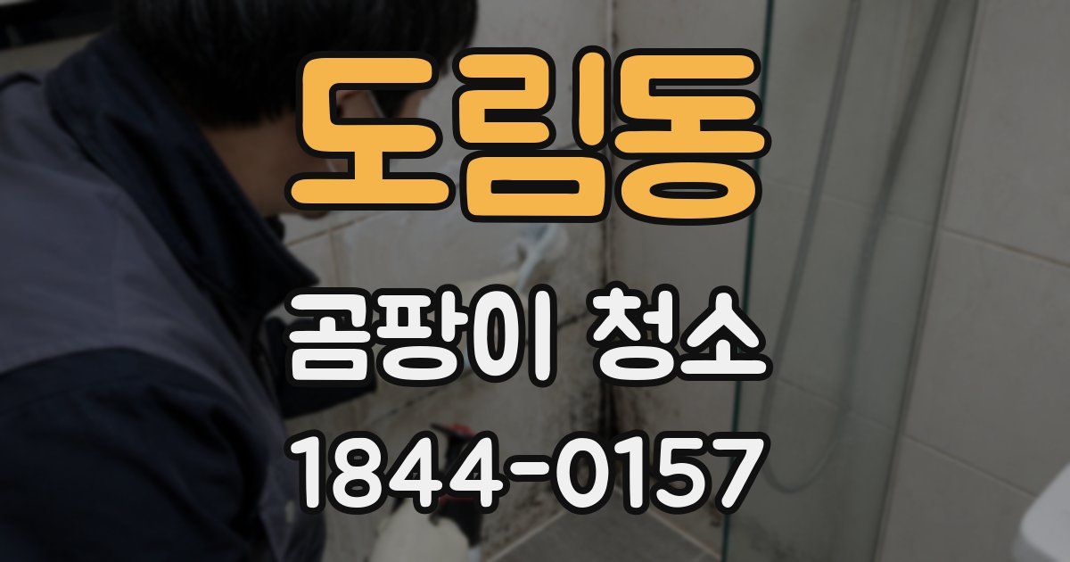 도림동 곰팡이 청소