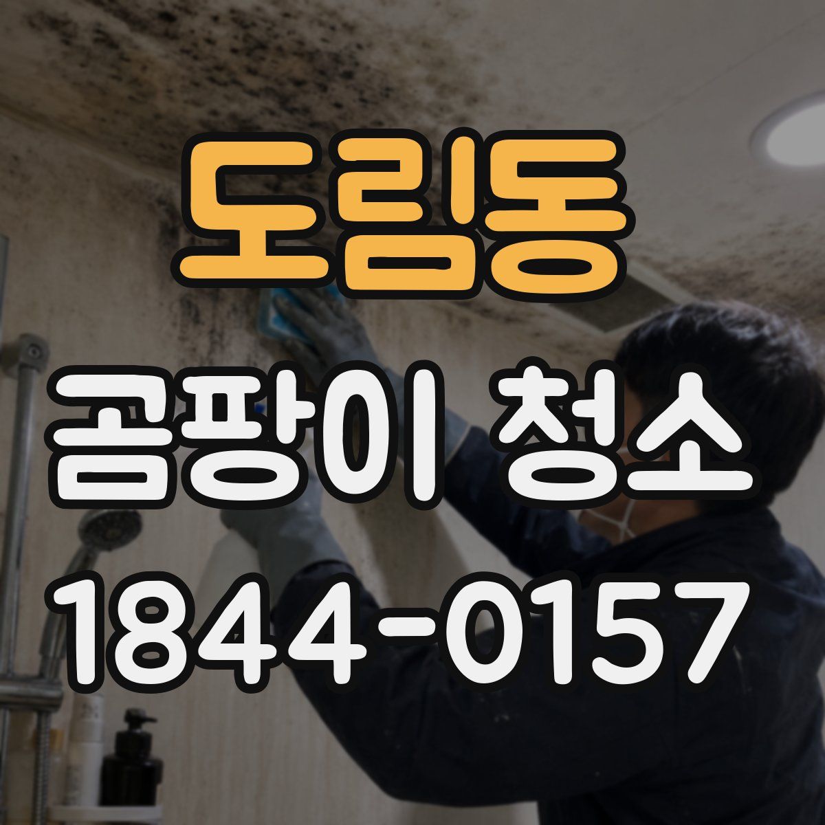 도림동 곰팡이 청소