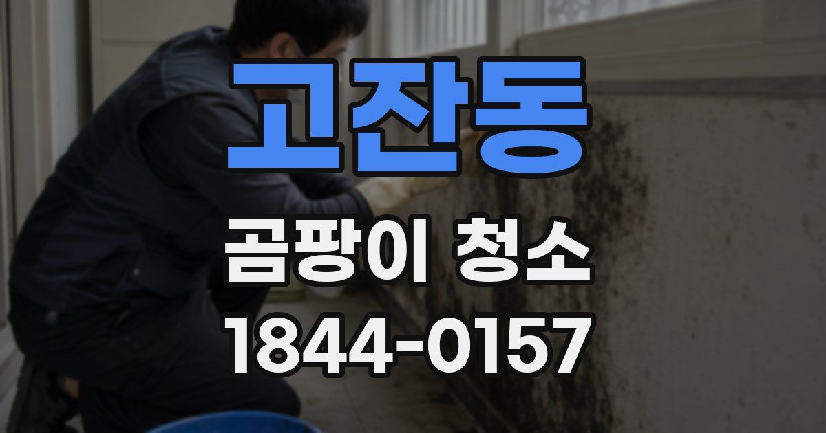 고잔동 곰팡이 청소