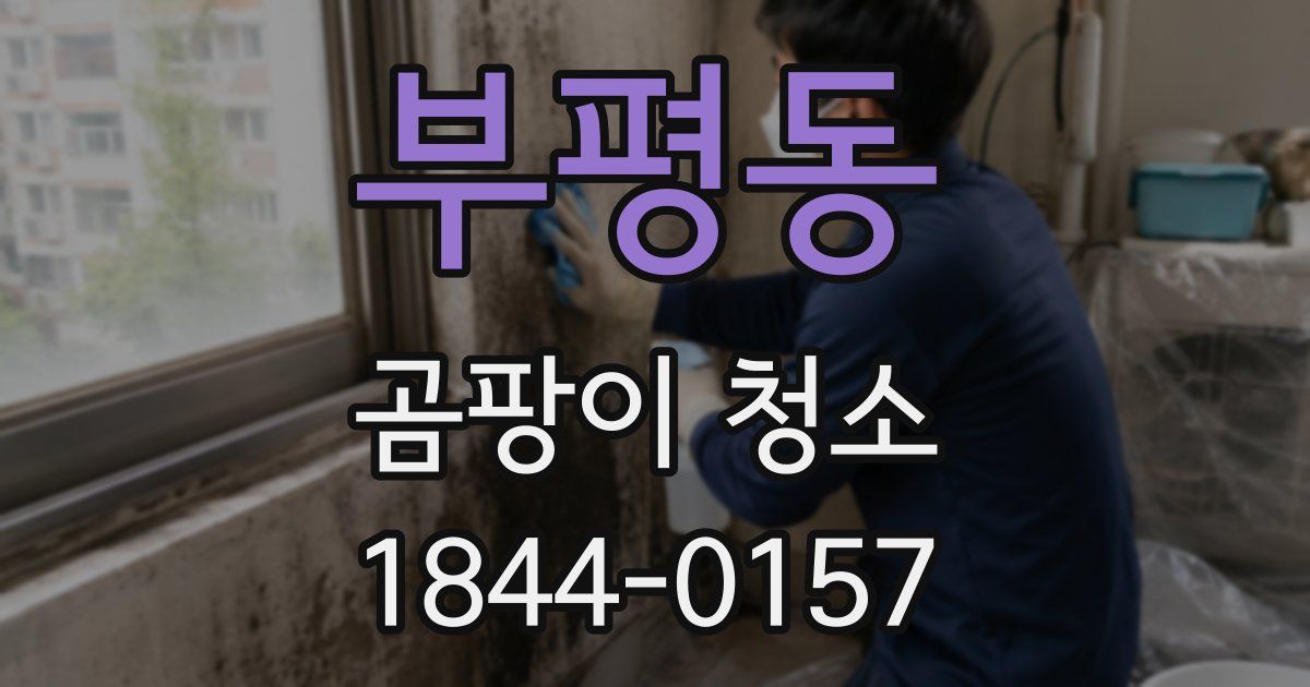 부평동 곰팡이 청소