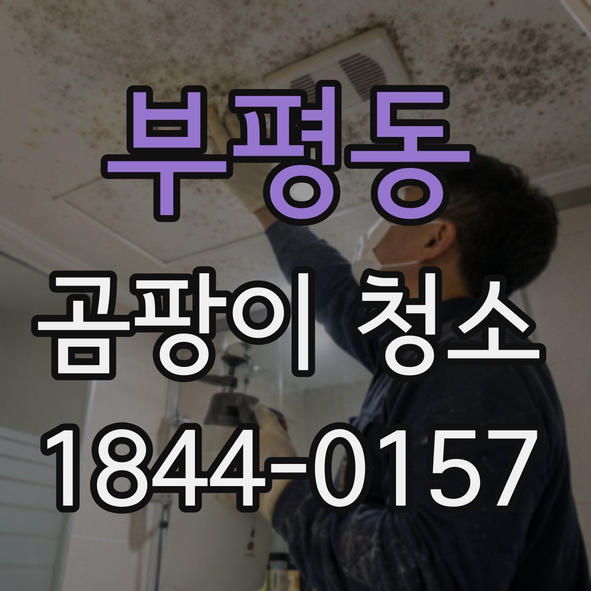 부평동 곰팡이 청소