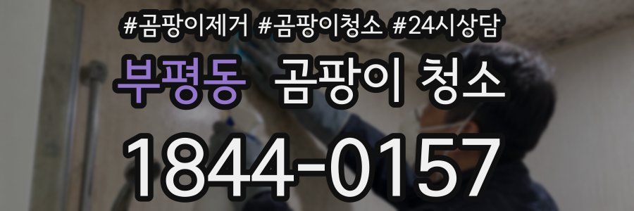 부평동 곰팡이 청소