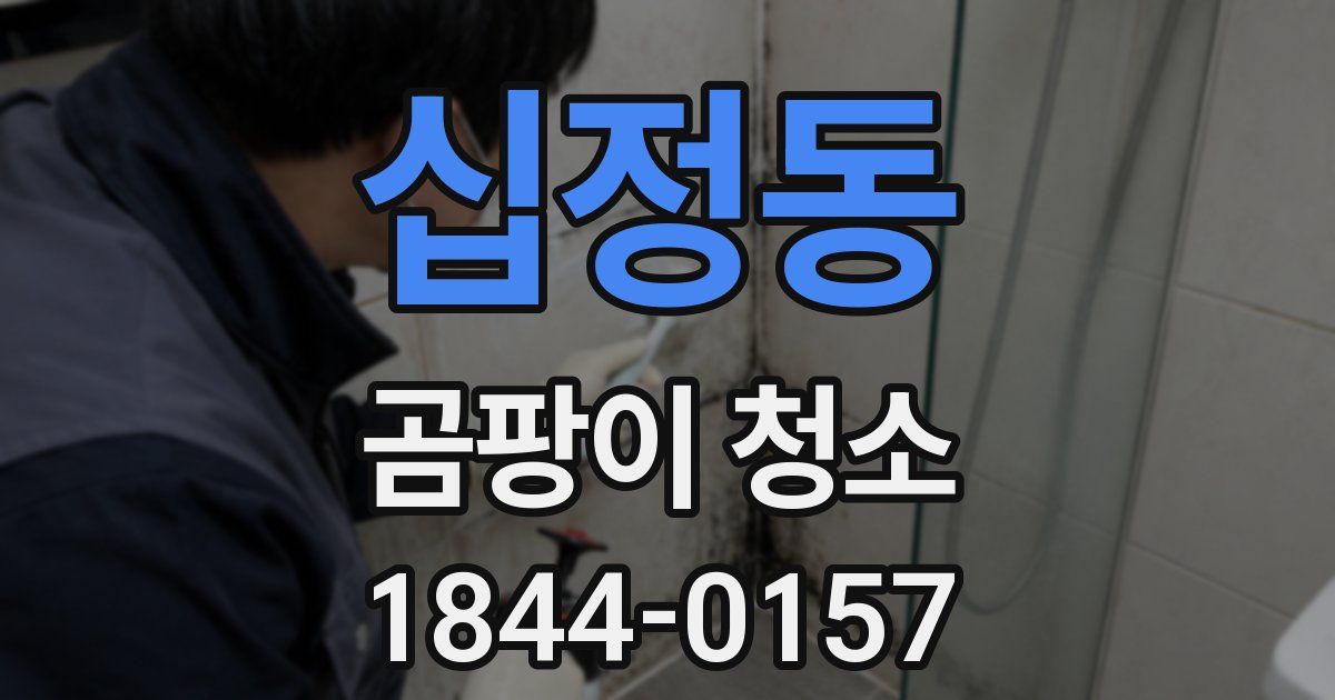 십정동 곰팡이 청소