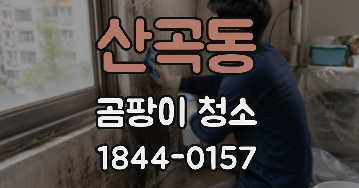 산곡동 곰팡이 청소