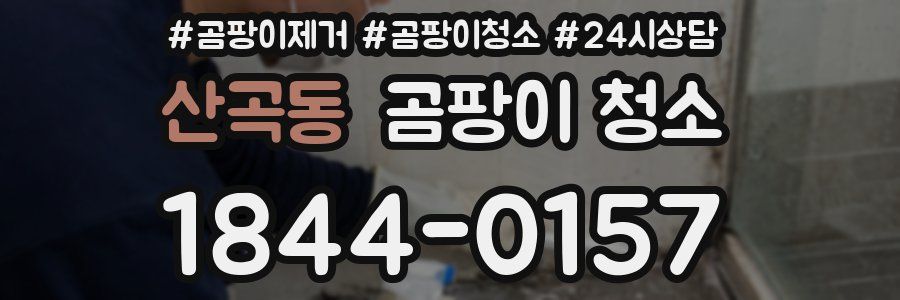 산곡동 곰팡이 청소