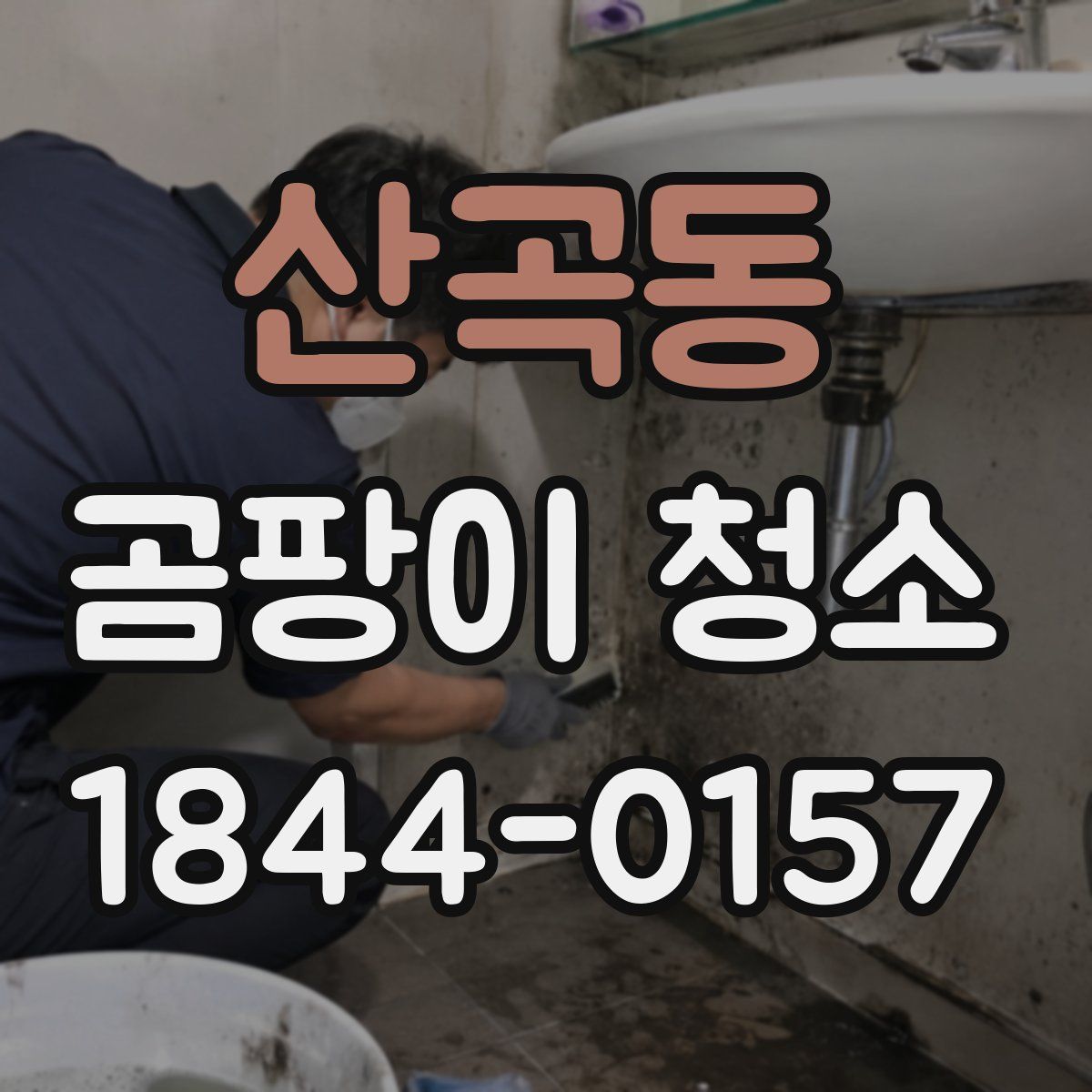 산곡동 곰팡이 청소