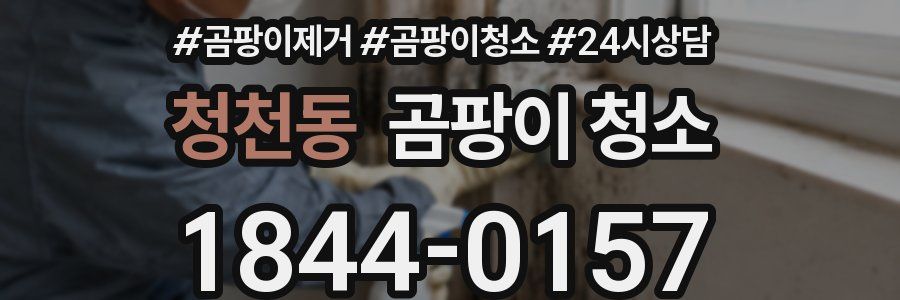 청천동 곰팡이 청소