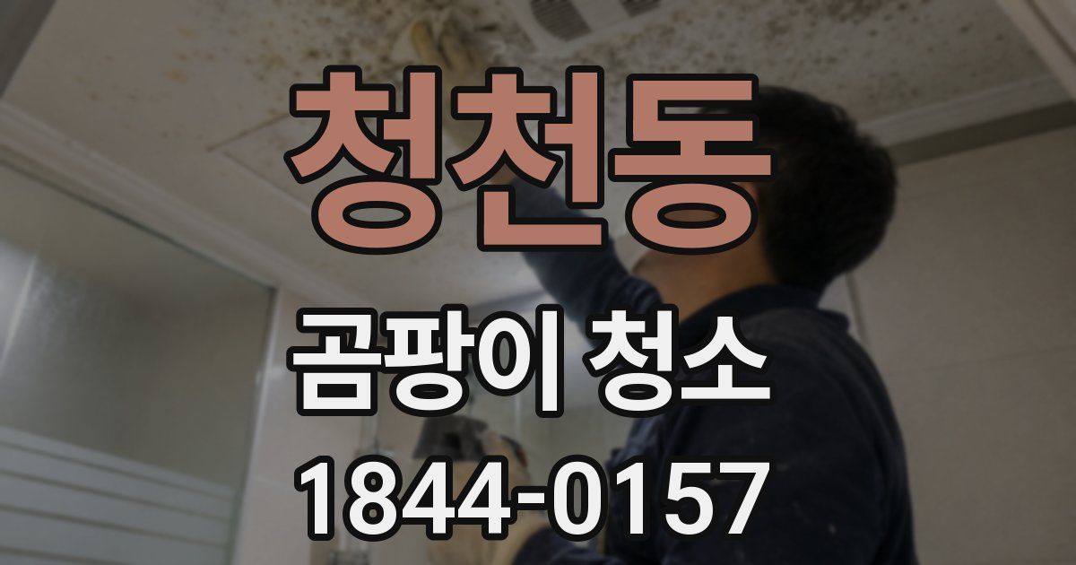 청천동 곰팡이 청소