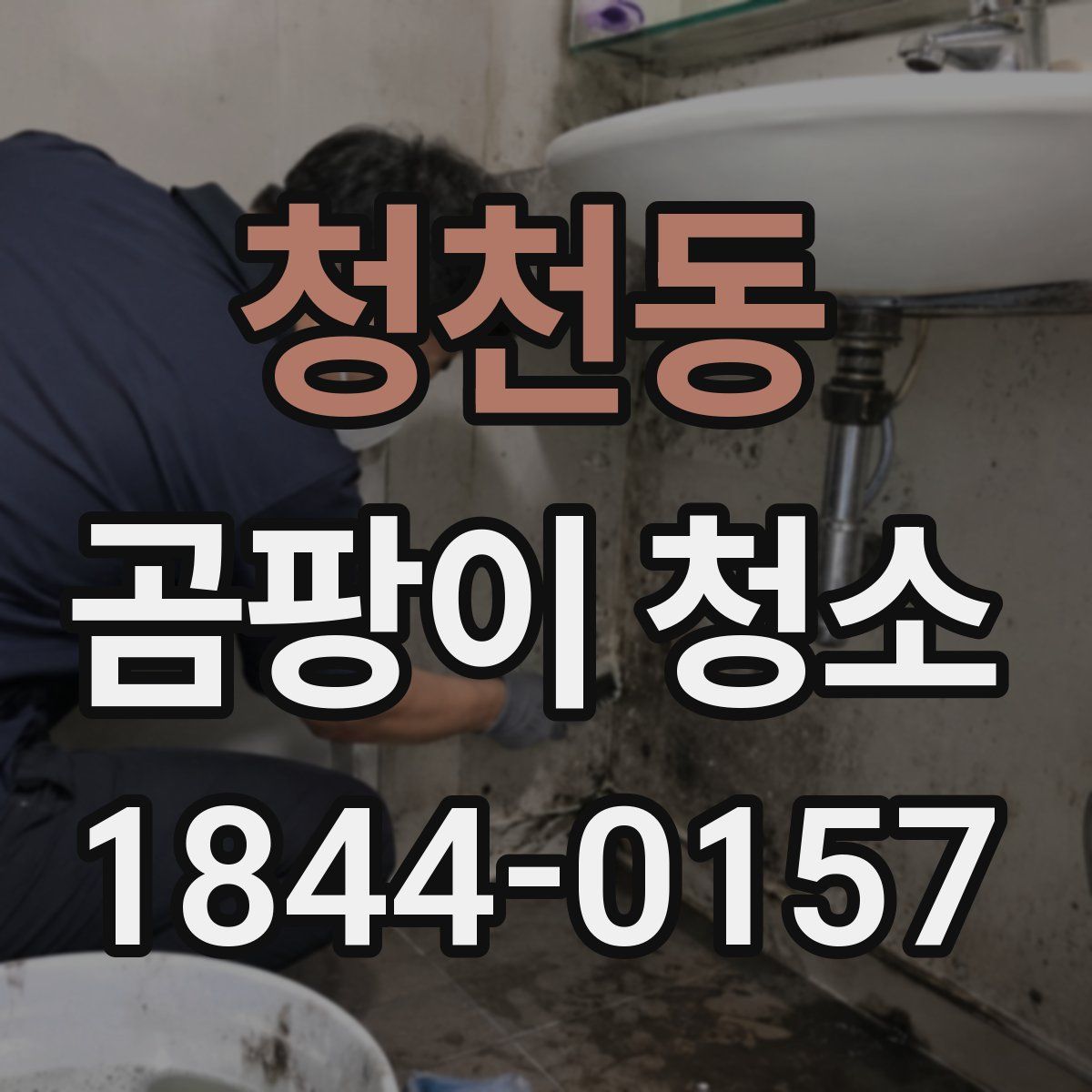 청천동 곰팡이 청소