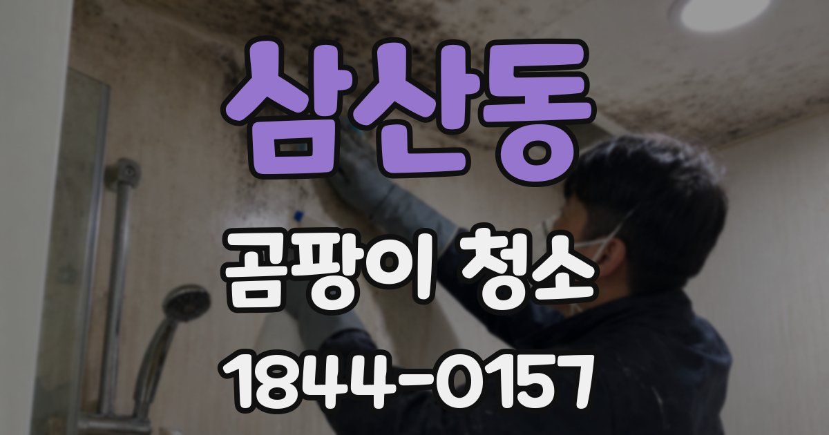 삼산동 곰팡이 청소