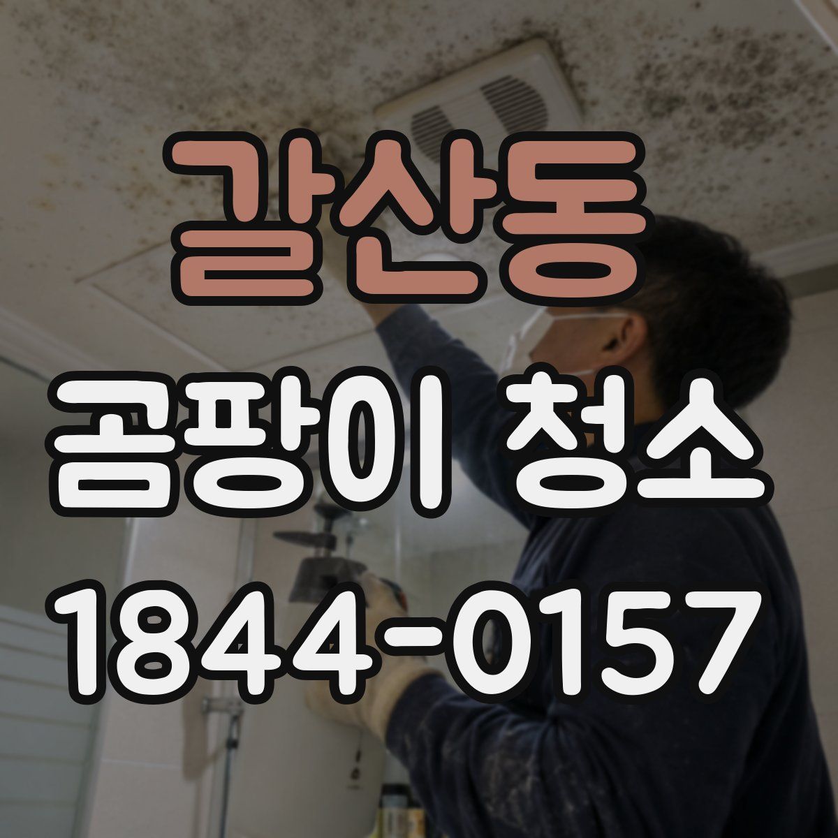 갈산동 곰팡이 청소