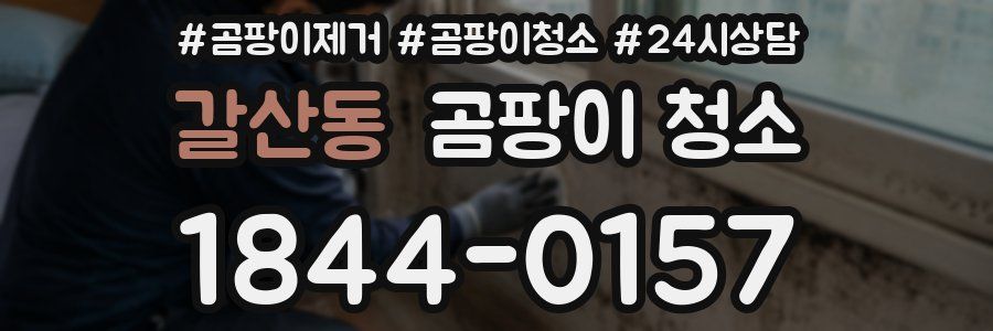 갈산동 곰팡이 청소