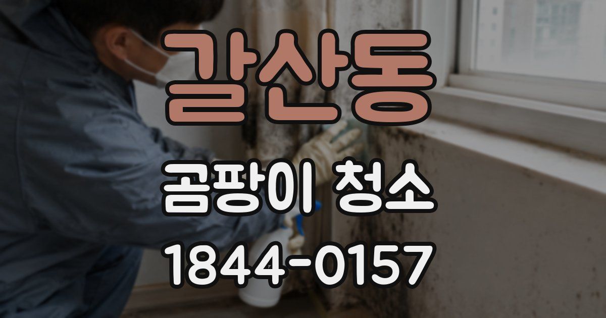 갈산동 곰팡이 청소