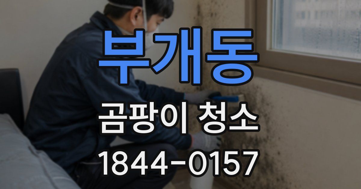 부개동 곰팡이 청소