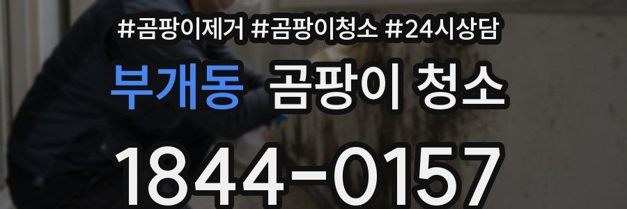 부개동 곰팡이 청소