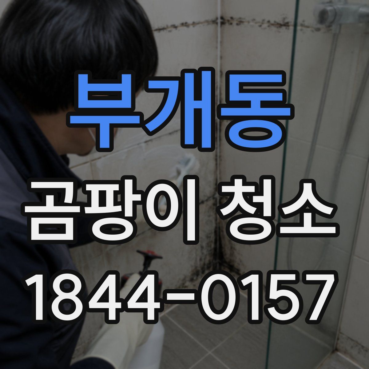 부개동 곰팡이 청소