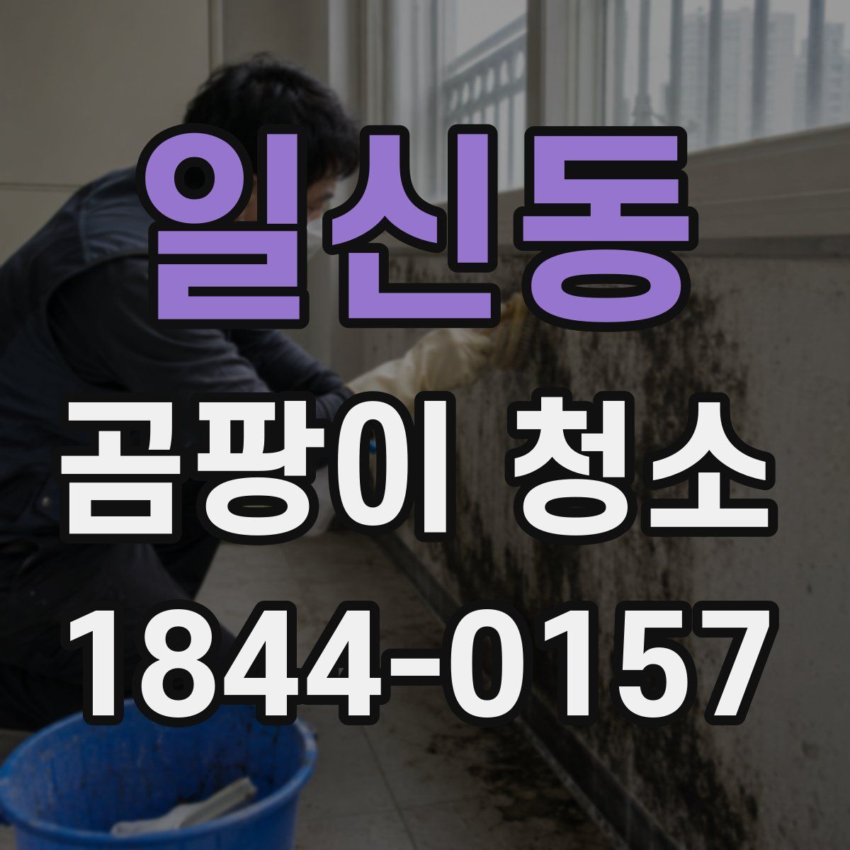 일신동 곰팡이 청소