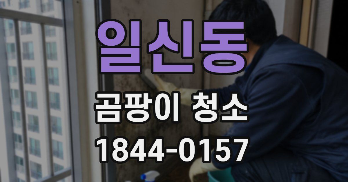 일신동 곰팡이 청소