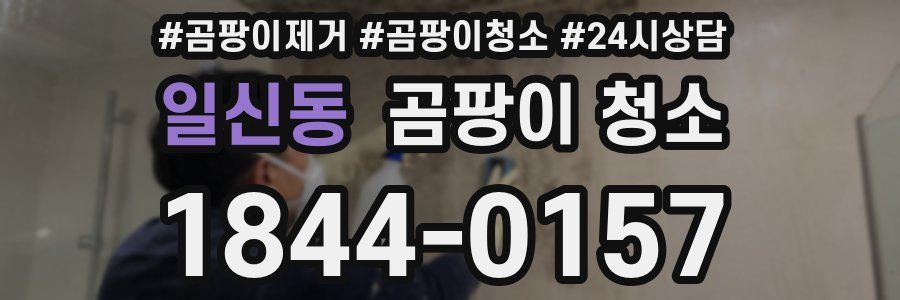 일신동 곰팡이 청소