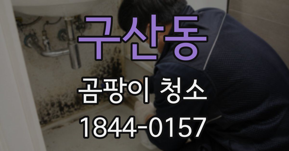 구산동 곰팡이 청소
