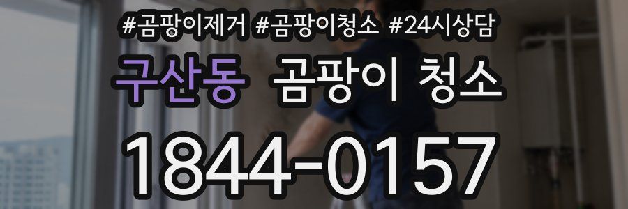 구산동 곰팡이 청소
