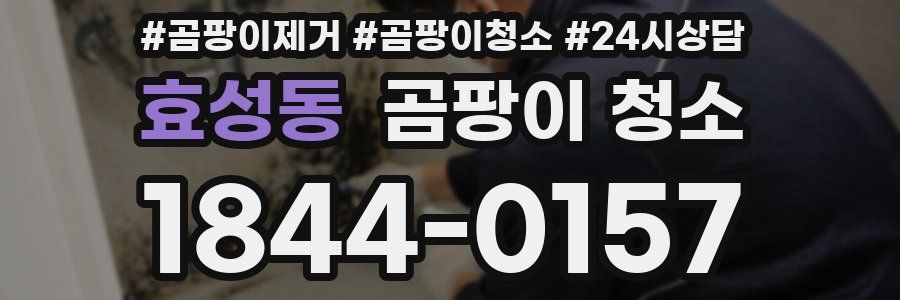 효성동 곰팡이 청소