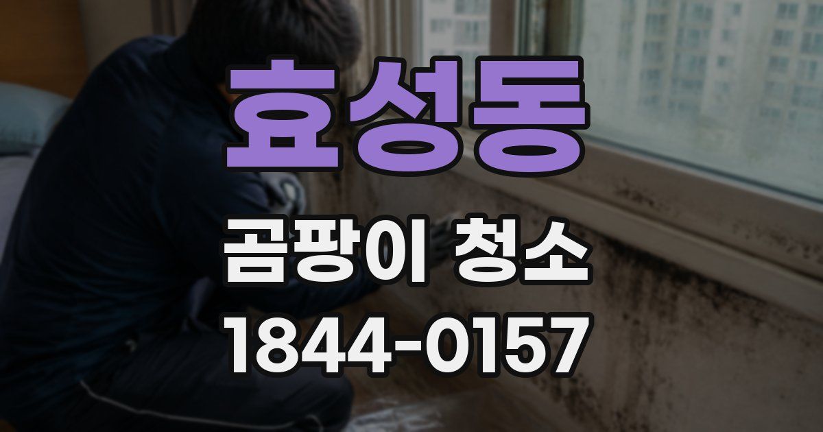 효성동 곰팡이 청소