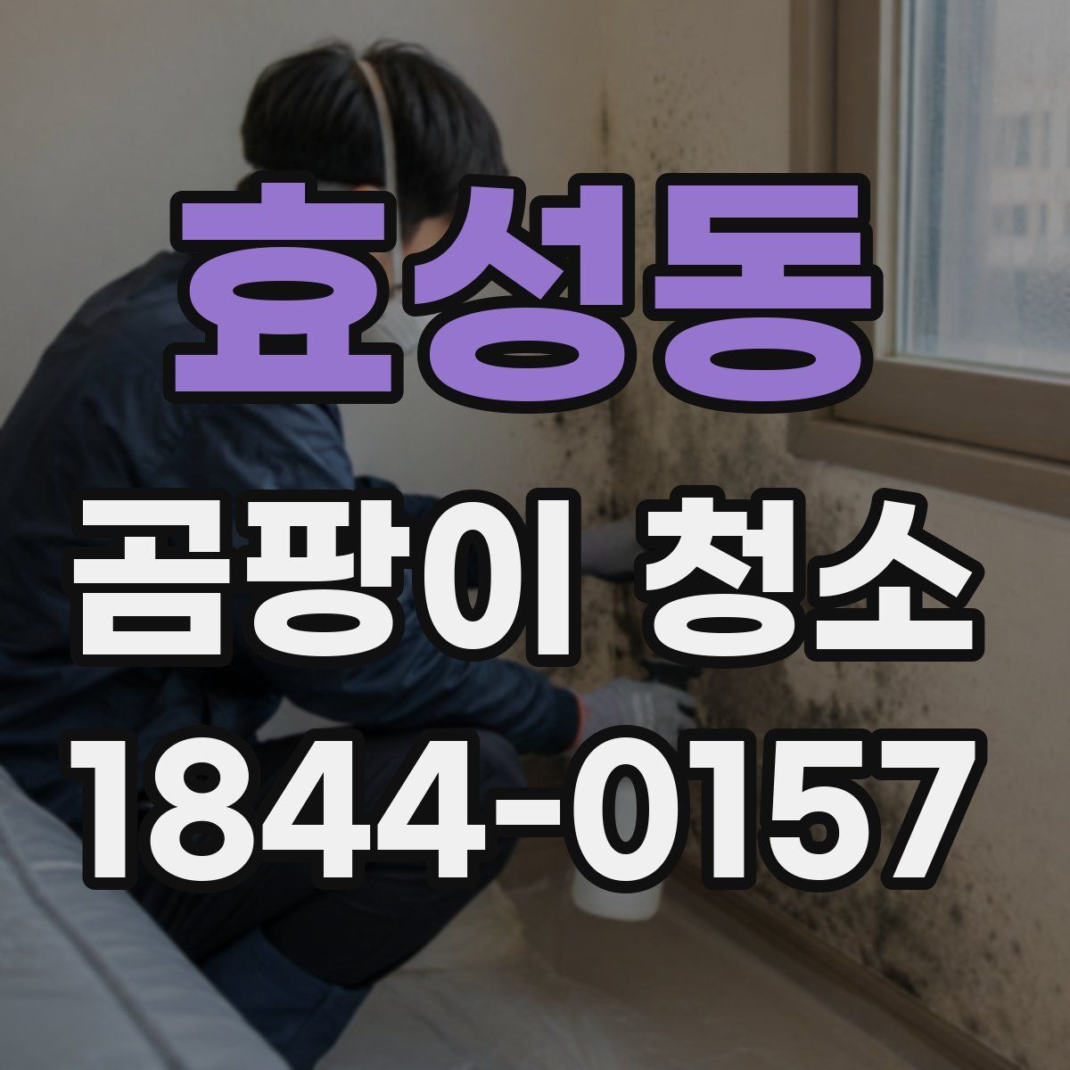 효성동 곰팡이 청소
