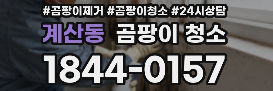 계산동 곰팡이 청소