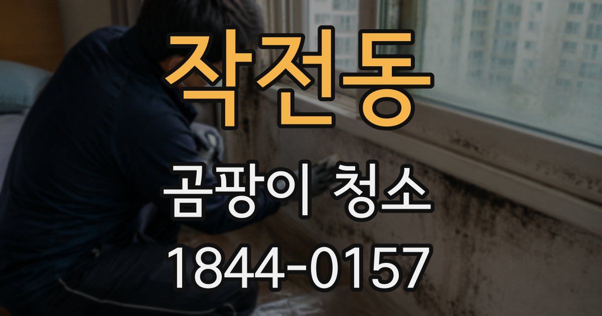 작전동 곰팡이 청소