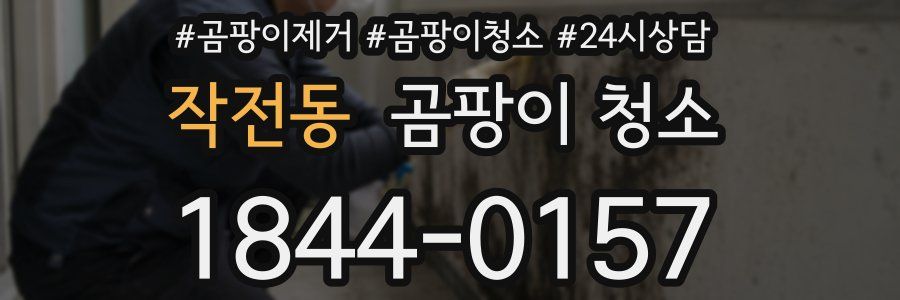 작전동 곰팡이 청소