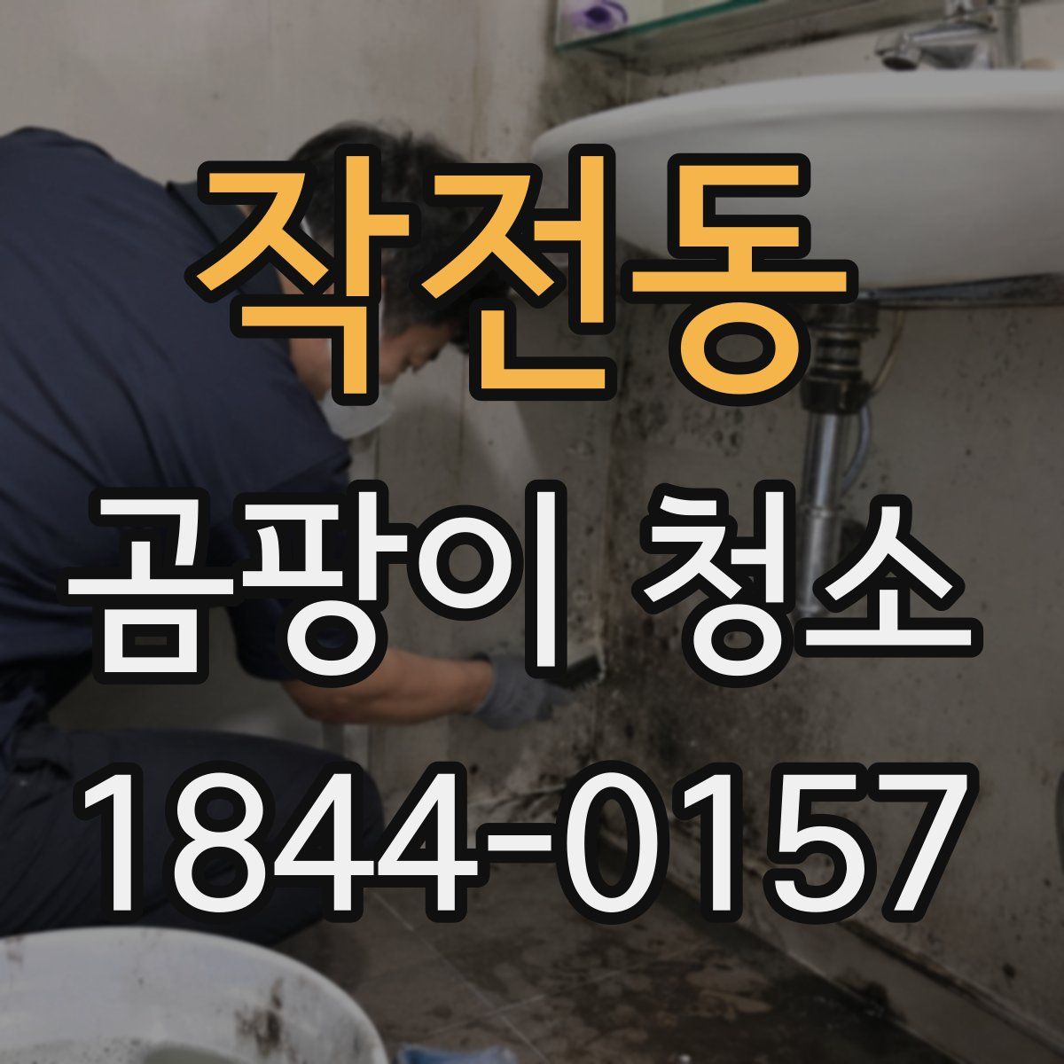 작전동 곰팡이 청소